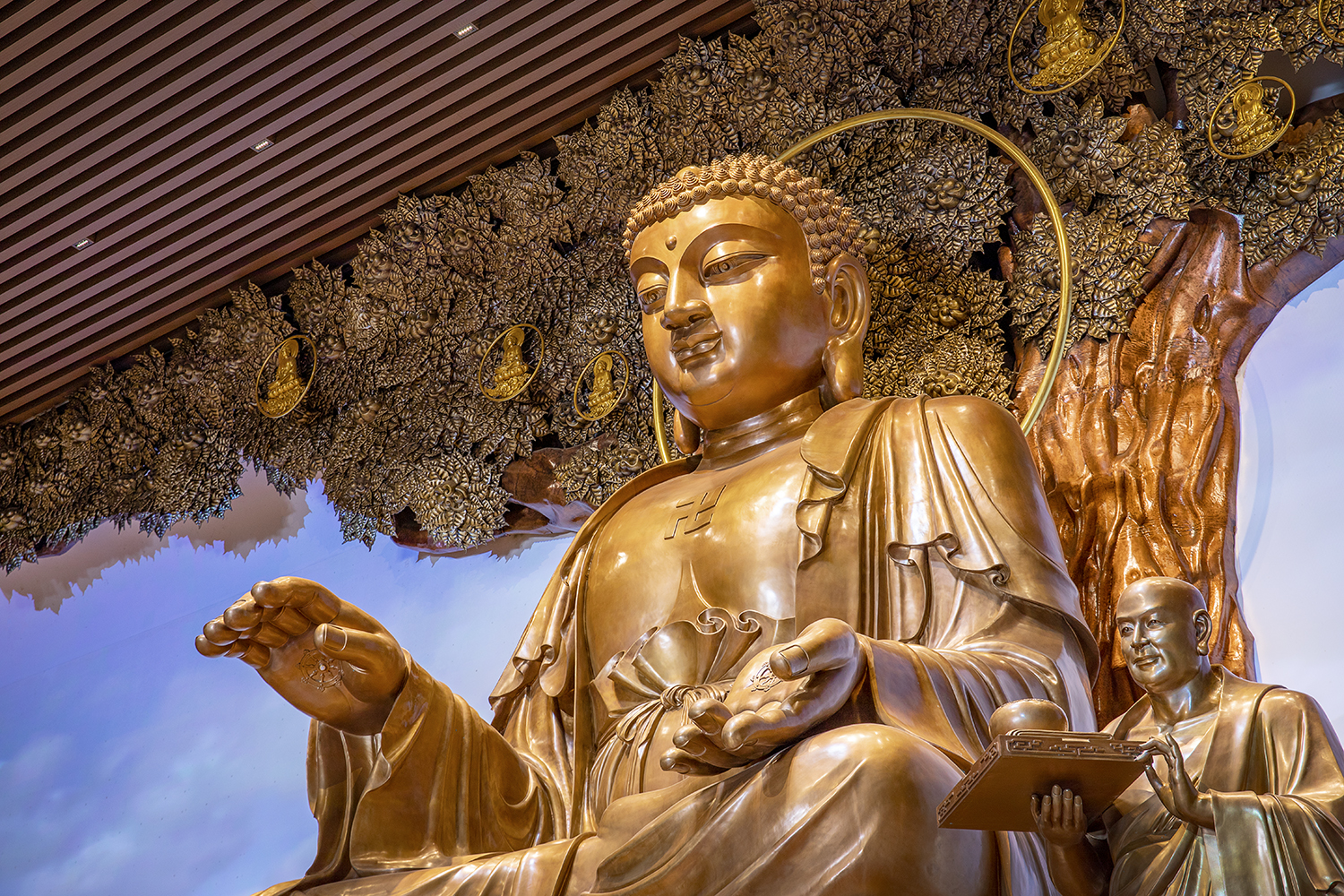 尊龙凯时·(中国区)人生就是搏!