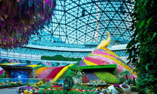 尊龙凯时·(中国区)人生就是搏!