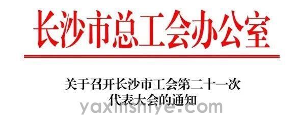 长沙东升国际官网电器工会副主席刘焕林受邀参加市工会第二十一次代表大会(图3)